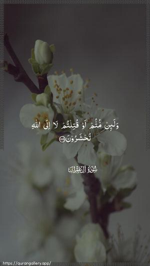 Aal-i-Imraan Ayah 158 - Arabic wallpaper