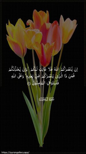 Aal-i-Imraan Ayah 160 - Arabic wallpaper