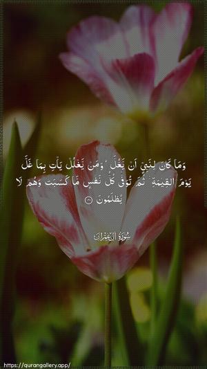 Aal-i-Imraan Ayah 161 - Arabic wallpaper