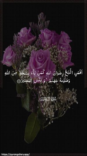 Aal-i-Imraan Ayah 162 - Arabic wallpaper