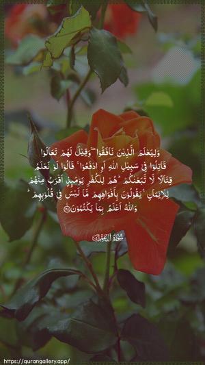 Aal-i-Imraan Ayah 167 - Arabic wallpaper