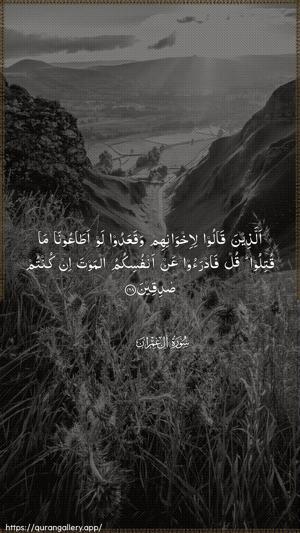 Aal-i-Imraan Ayah 168 - Arabic wallpaper