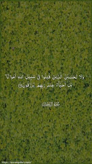 Aal-i-Imraan Ayah 169 - Arabic wallpaper