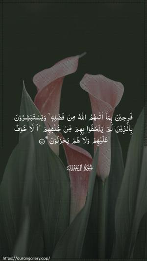 Aal-i-Imraan Ayah 170 - Arabic wallpaper
