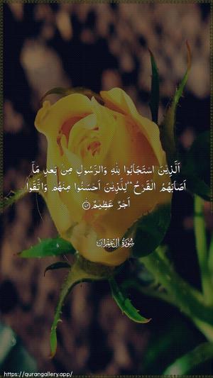 Aal-i-Imraan Ayah 172 - Arabic wallpaper