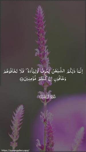 Aal-i-Imraan Ayah 175 - Arabic wallpaper