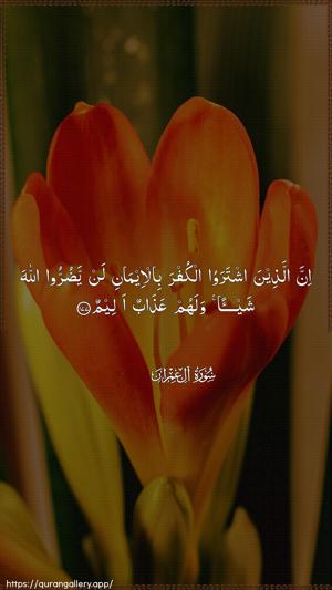 Aal-i-Imraan Ayah 177 - Arabic wallpaper