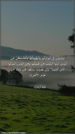 Aal-i-Imraan Ayah 186 - Arabic wallpaper