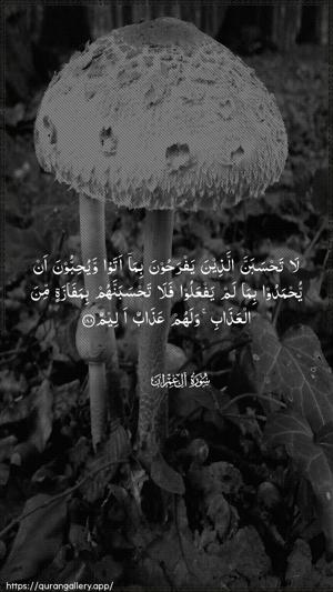 Aal-i-Imraan Ayah 188 - Arabic wallpaper