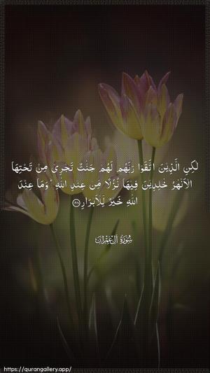 Aal-i-Imraan Ayah 198 - Arabic wallpaper