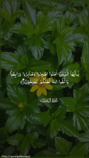 Aal-i-Imraan Ayah 200 - Arabic wallpaper