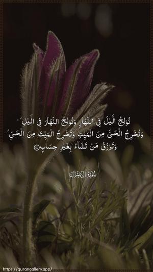 Aal-i-Imraan Ayah 27 - Arabic wallpaper