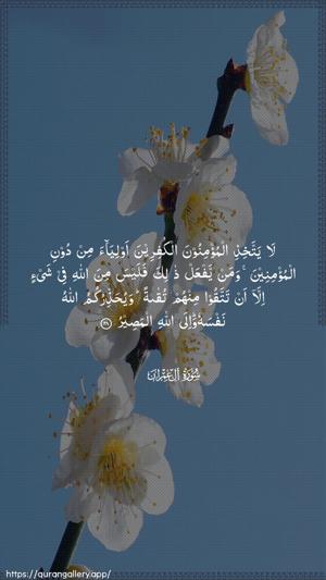 Aal-i-Imraan Ayah 28 - Arabic wallpaper