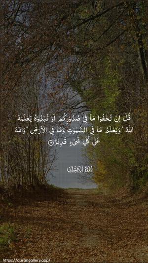 Aal-i-Imraan Ayah 29 - Arabic wallpaper
