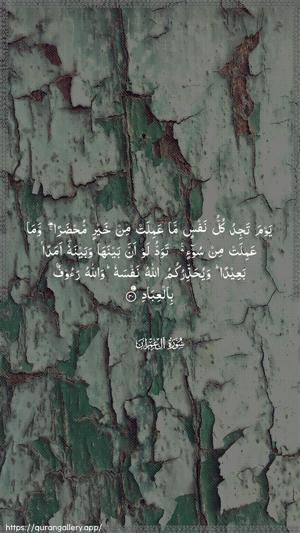 Aal-i-Imraan Ayah 30 - Arabic wallpaper