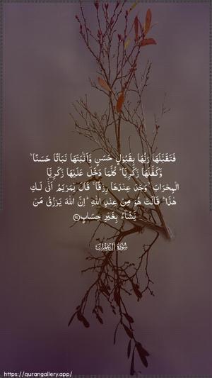 Aal-i-Imraan Ayah 37 - Arabic wallpaper
