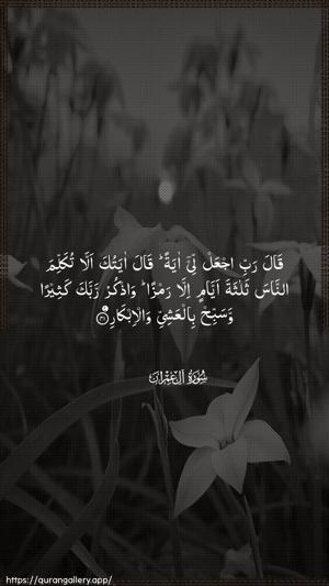 Aal-i-Imraan Ayah 41 - Arabic wallpaper