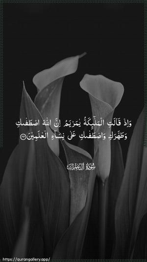 Aal-i-Imraan Ayah 42 - Arabic wallpaper