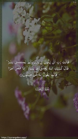 Aal-i-Imraan Ayah 47 - Arabic wallpaper