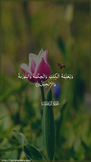 Aal-i-Imraan Ayah 48 - Arabic wallpaper