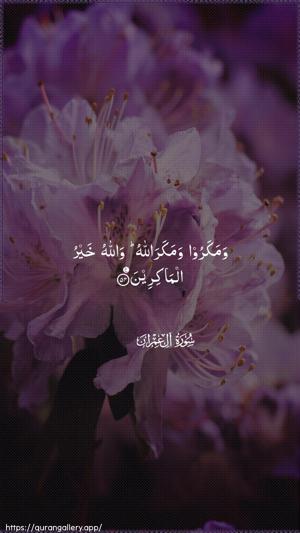 Aal-i-Imraan Ayah 54 - Arabic wallpaper