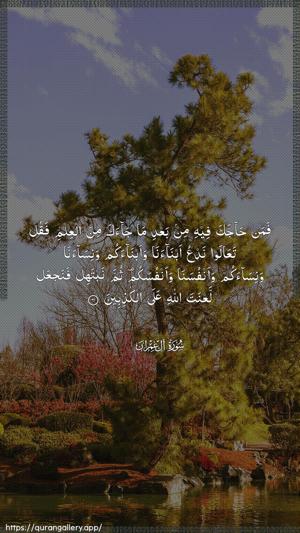 Aal-i-Imraan Ayah 61 - Arabic wallpaper