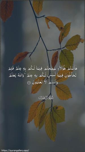 Aal-i-Imraan Ayah 66 - Arabic wallpaper