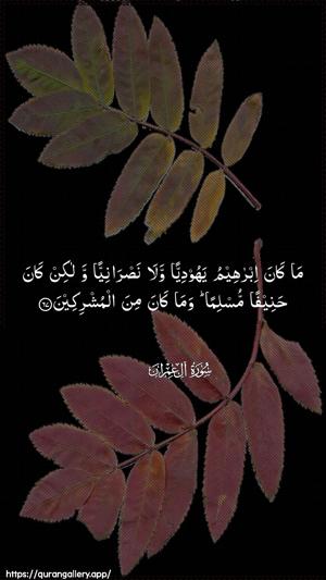 Aal-i-Imraan Ayah 67 - Arabic wallpaper