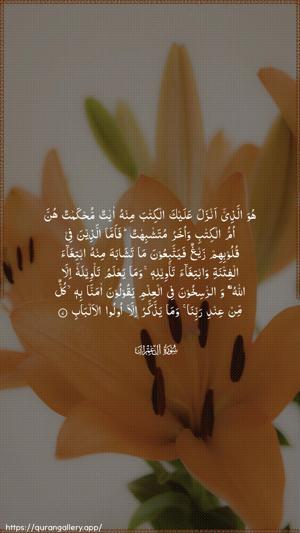 Aal-i-Imraan Ayah 7 - Arabic wallpaper