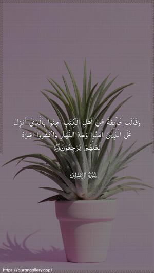 Aal-i-Imraan Ayah 72 - Arabic wallpaper