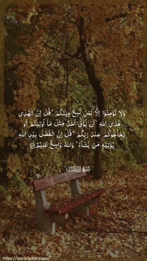 Aal-i-Imraan Ayah 73 - Arabic wallpaper
