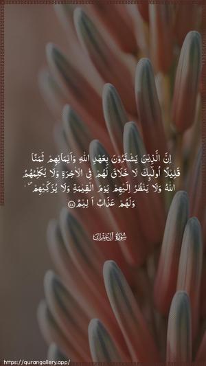 Aal-i-Imraan Ayah 77 - Arabic wallpaper