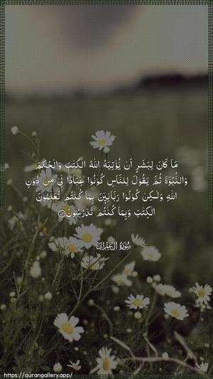 Aal-i-Imraan Ayah 79 - Arabic wallpaper