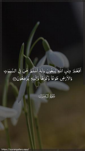 Aal-i-Imraan Ayah 83 - Arabic wallpaper