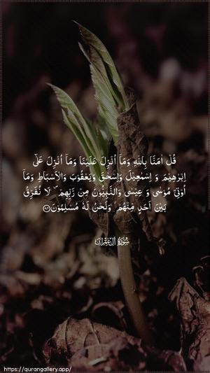 Aal-i-Imraan Ayah 84 - Arabic wallpaper