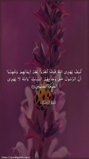 Aal-i-Imraan Ayah 86 - Arabic wallpaper