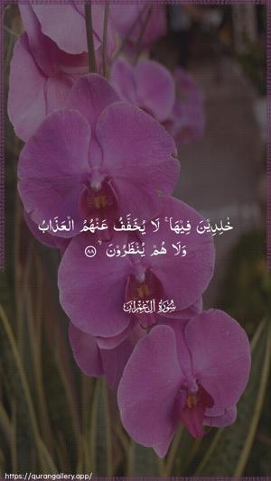 Aal-i-Imraan Ayah 88 - Arabic wallpaper