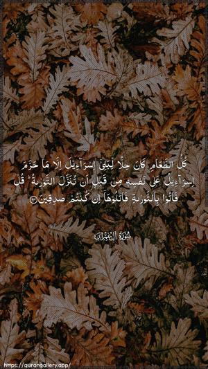 Aal-i-Imraan Ayah 93 - Arabic wallpaper