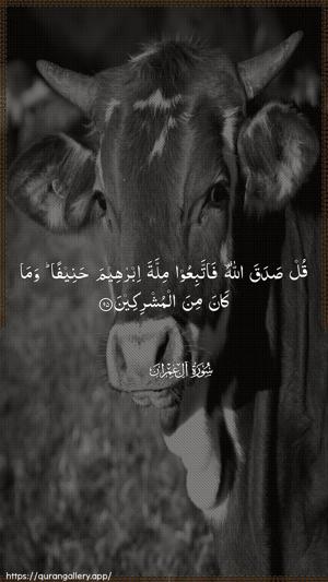 Aal-i-Imraan Ayah 95 - Arabic wallpaper