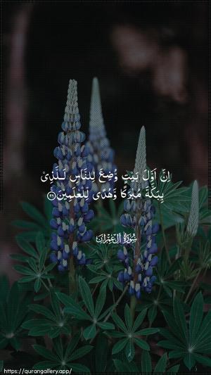 Aal-i-Imraan Ayah 96 - Arabic wallpaper