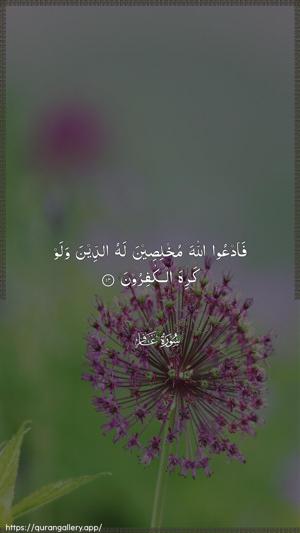 Al-Ghaafir Ayah 14 - Arabic wallpaper