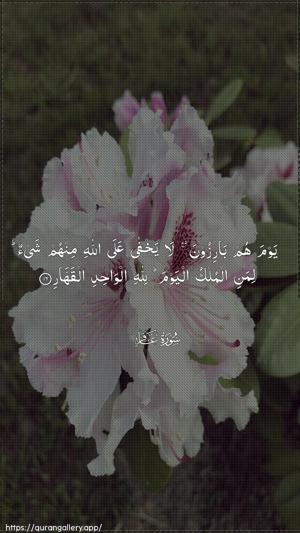 Al-Ghaafir Ayah 16 - Arabic wallpaper