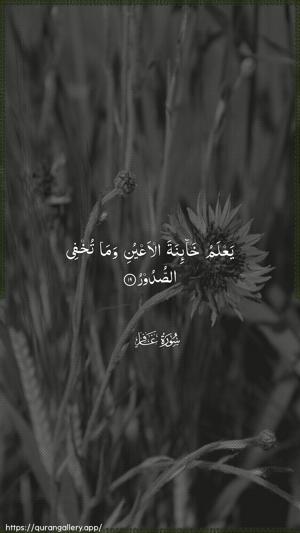 Al-Ghaafir Ayah 19 - Arabic wallpaper