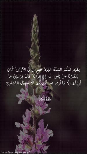 Al-Ghaafir Ayah 29 - Arabic wallpaper
