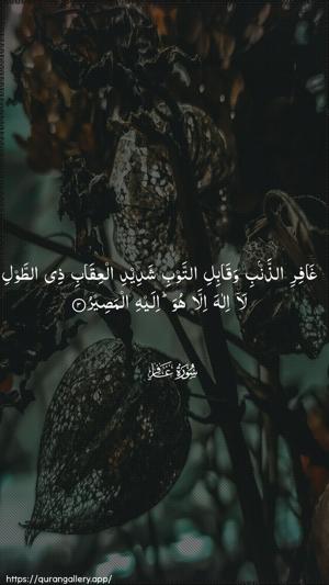 Al-Ghaafir Ayah 3 - Arabic wallpaper