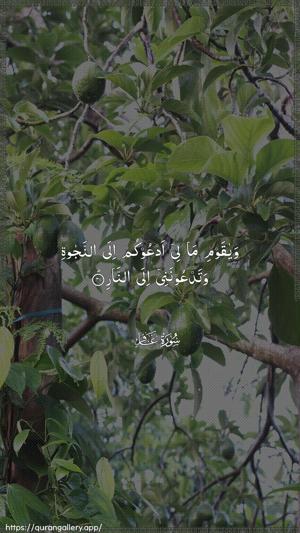 Al-Ghaafir Ayah 41 - Arabic wallpaper