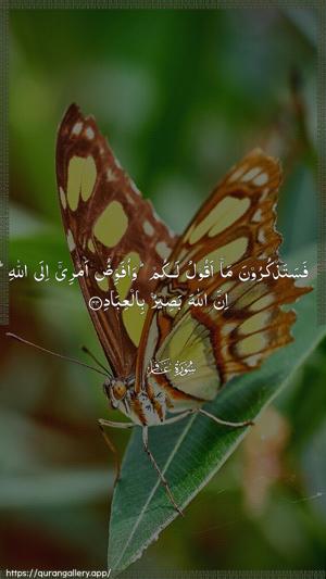 Al-Ghaafir Ayah 44 - Arabic wallpaper