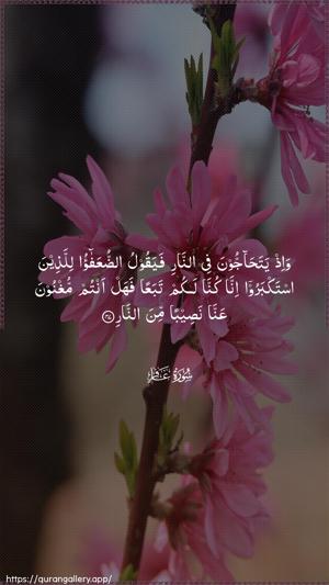 Al-Ghaafir Ayah 47 - Arabic wallpaper
