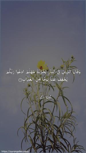 Al-Ghaafir Ayah 49 - Arabic wallpaper