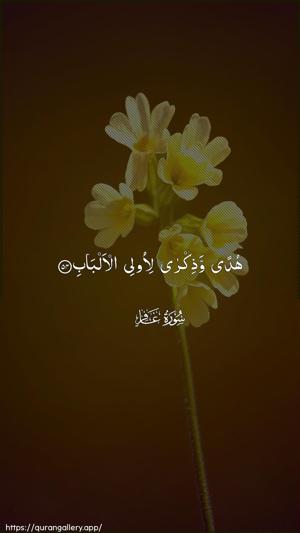 Al-Ghaafir Ayah 54 - Arabic wallpaper